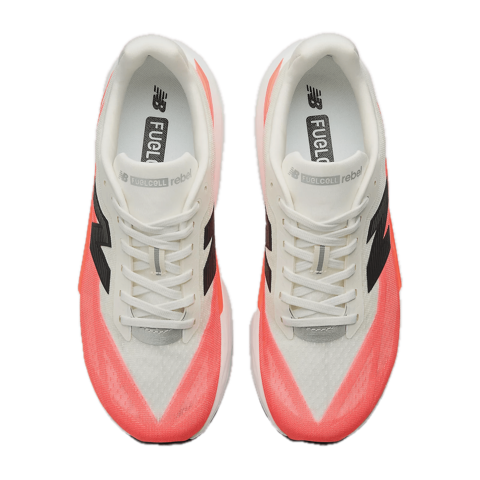 Men's FuelCell Rebel v5 - T3 Endurance Sports