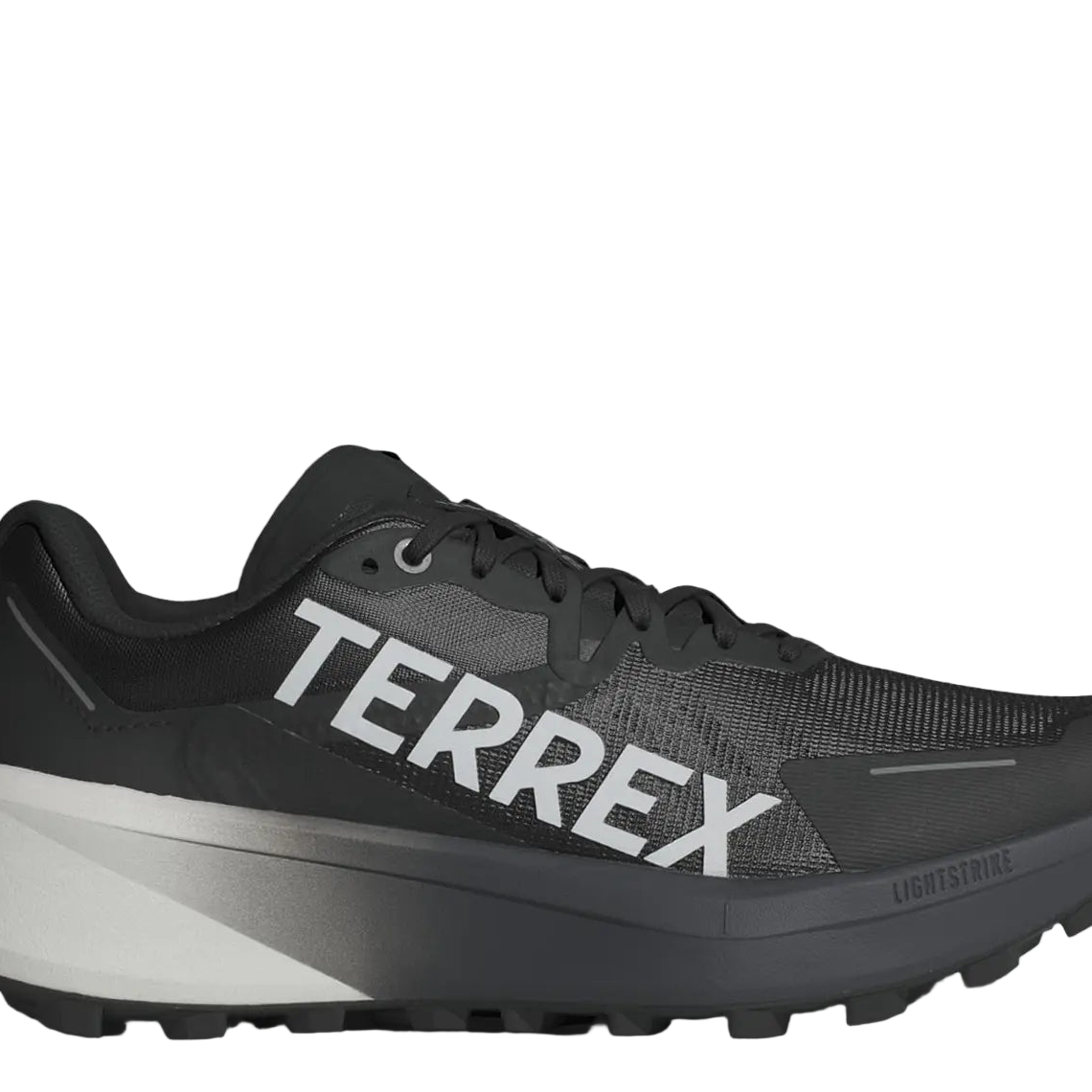Men's Terrex Agravic 3 - T3 Endurance Sports