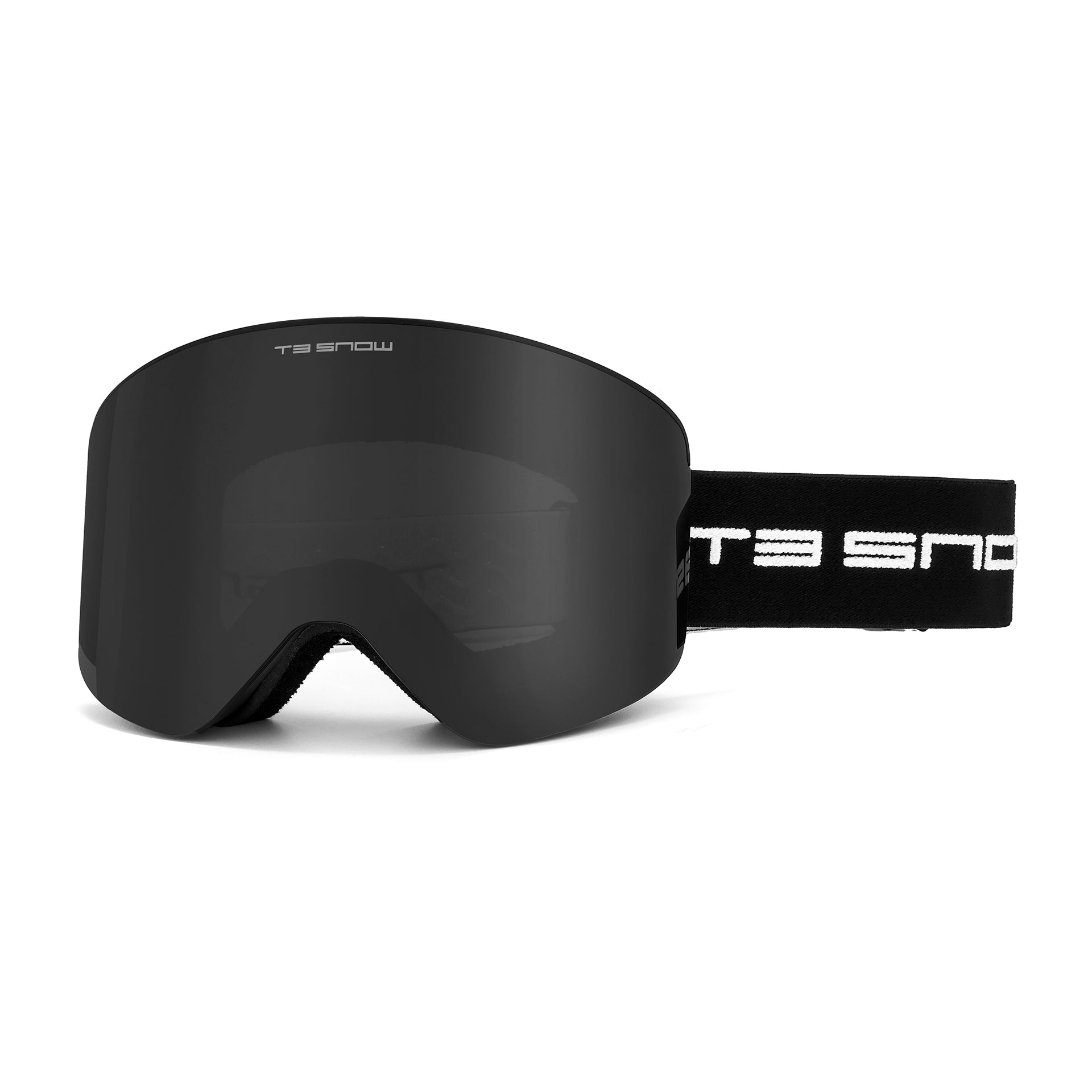 Ski Snowboard Goggles - T3 Endurance Sports